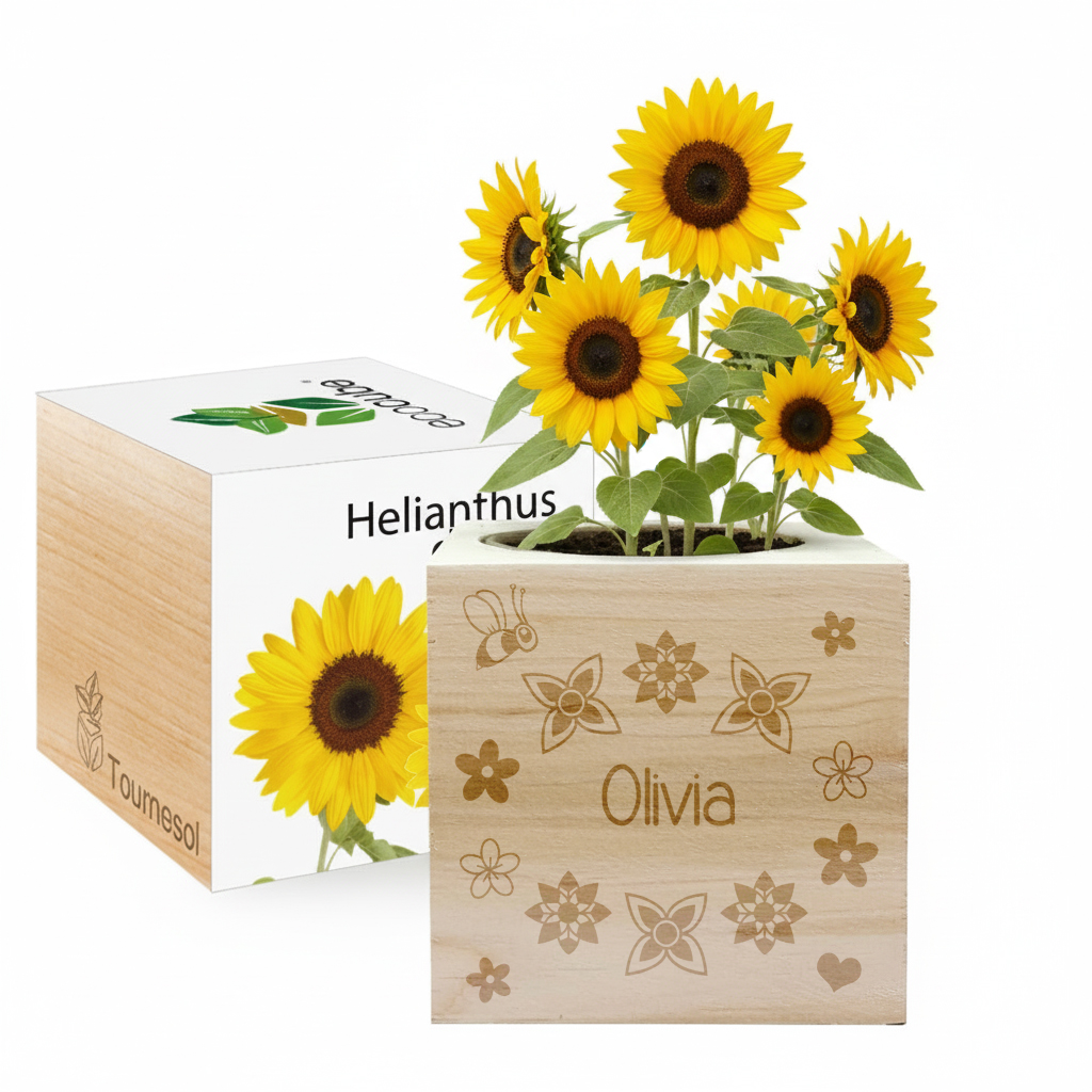 Graverade ecocubes Graverade ecocubes