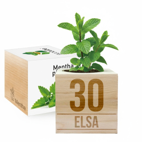 EcoCube anpassad födelsedag EcoCube anpassad födelsedag