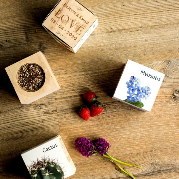 EcoCube anpassad Kärlek EcoCube anpassad Kärlek