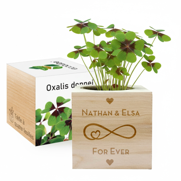 EcoCube anpassad Kärlek EcoCube anpassad Kärlek