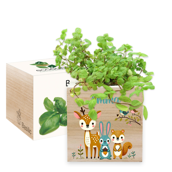 Tryckt EcoCube Förtrollad skog Tryckt EcoCube Förtrollad skog