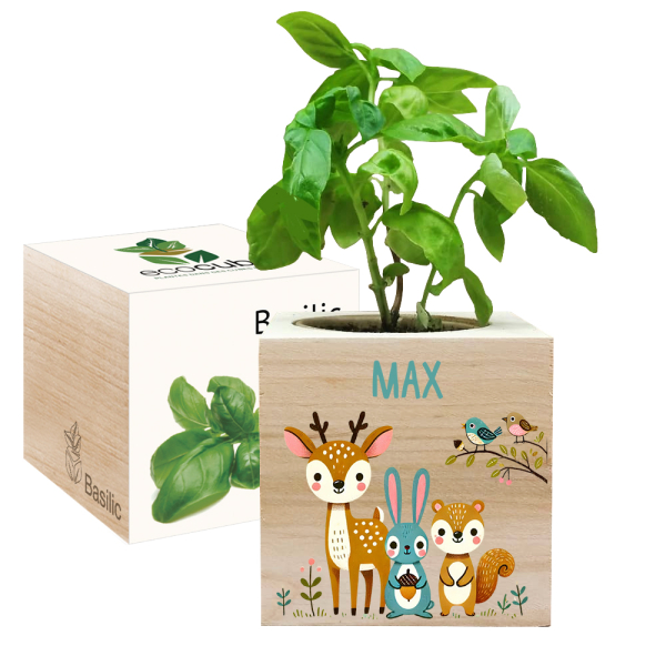 Tryckt EcoCube Förtrollad skog Tryckt EcoCube Förtrollad skog