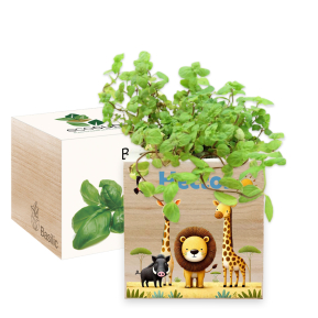 Tryckt EcoCube Safari Tryckt EcoCube Safari