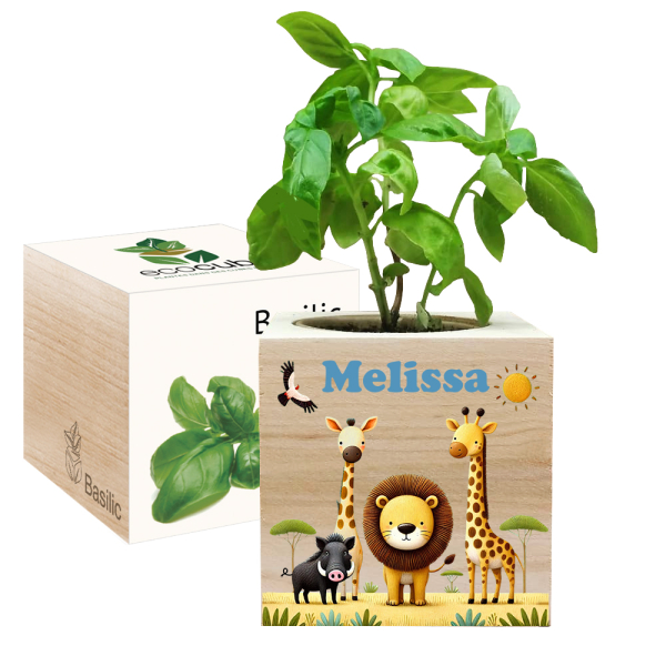 Tryckt EcoCube Safari Tryckt EcoCube Safari