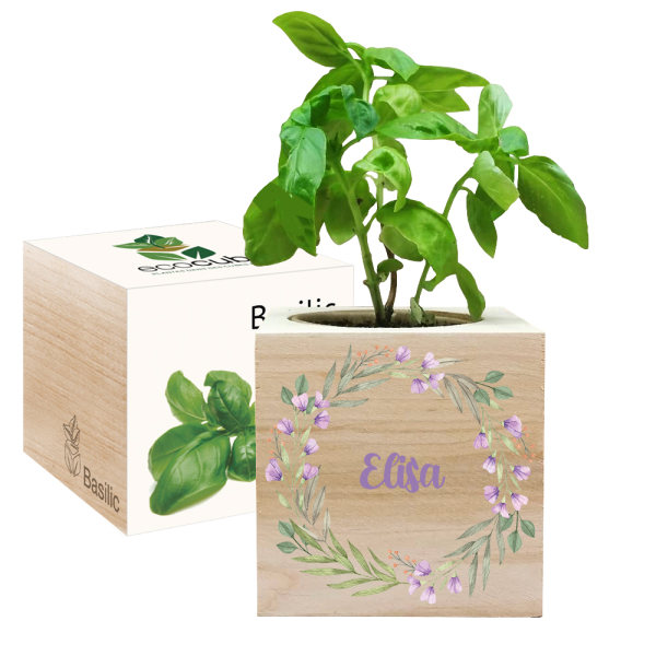 Tryckt EcoCube växtkrans Tryckt EcoCube växtkrans