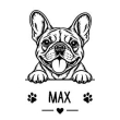 Fransk bulldogg