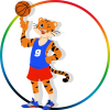 Basketboll