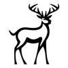 &Auml;lg