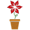 Blomkruka