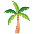 Palm
