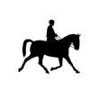 Ridsport