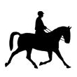 Ridsport