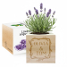 EcoCube anpassad Ram blomma EcoCube anpassad Ram blomma
