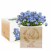 EcoCube graverad duva dop