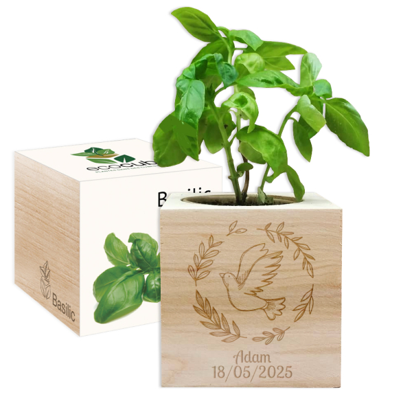 EcoCube graverad duva dop