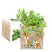 Tryckt EcoCube Förtrollad skog Tryckt EcoCube Förtrollad skog