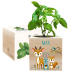 Tryckt EcoCube Förtrollad skog Tryckt EcoCube Förtrollad skog