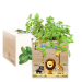 Tryckt EcoCube Safari Tryckt EcoCube Safari