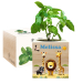 Tryckt EcoCube Safari Tryckt EcoCube Safari