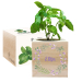 Tryckt EcoCube växtkrans Tryckt EcoCube växtkrans